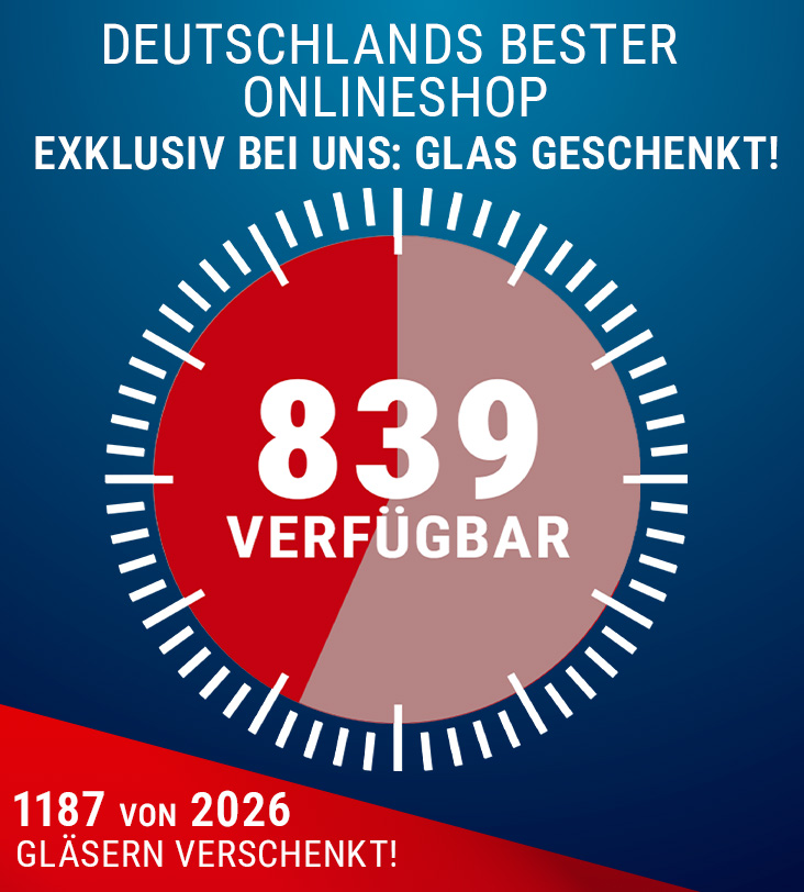 Sale bei Glasprofi24