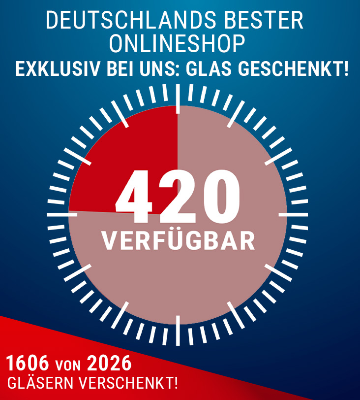 Sale bei Glasprofi24