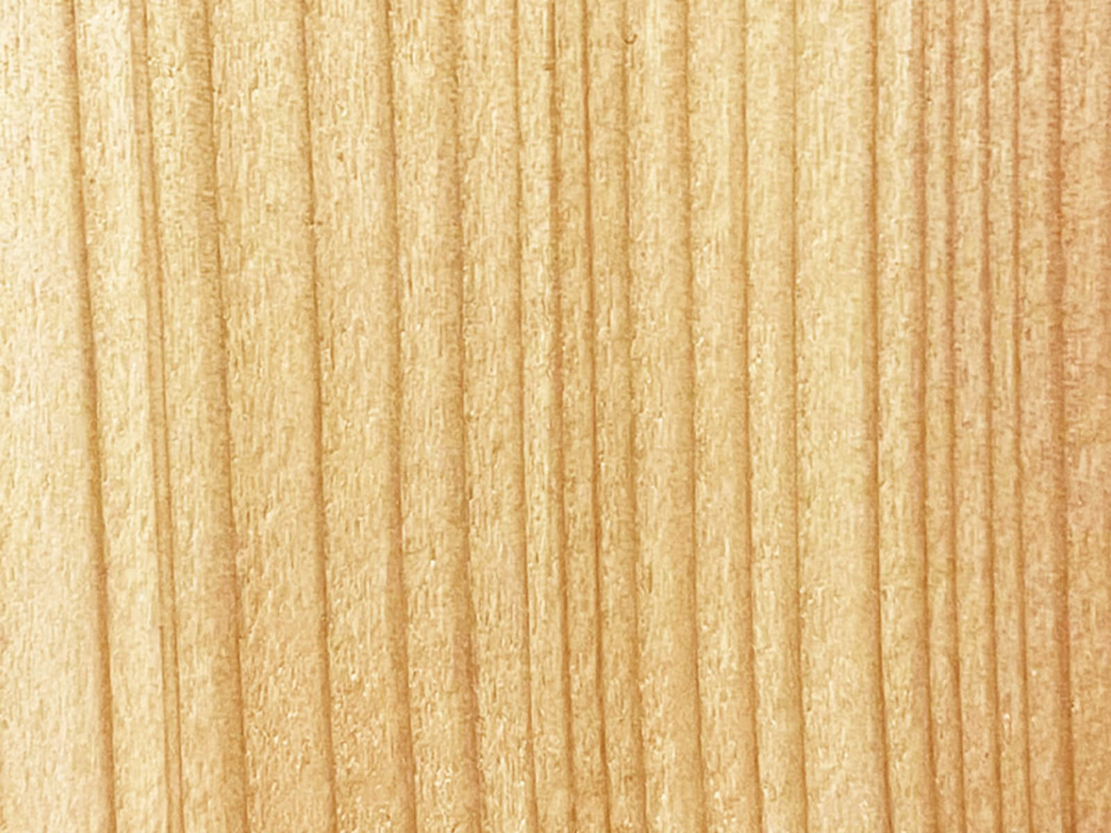 Detailaufnahme Holzart Lärche