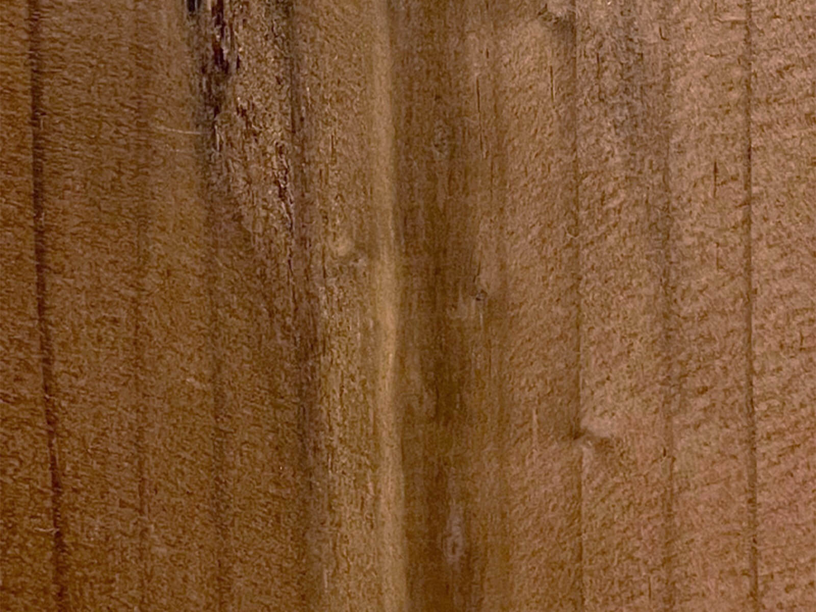 Detailaufnahme Holzart Thermokiefer