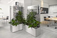 Zwei Pflanzkästen als Raumteiler ums Eck