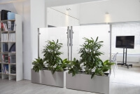 Zwei Pflanzkübel mit getrübtem Glas als Raumteiler