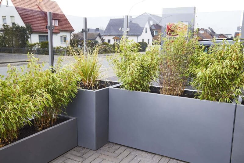 Pflanzkästen aneinander mit Windschutz