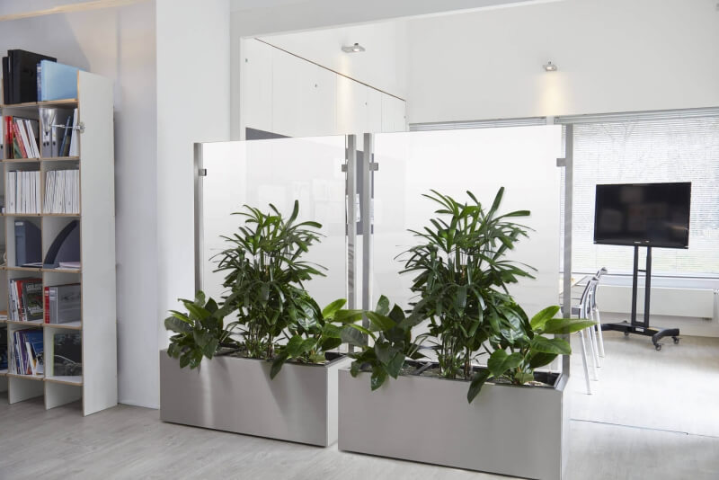 Zwei Pflanzkübel mit getrübtem Glas als Raumteiler