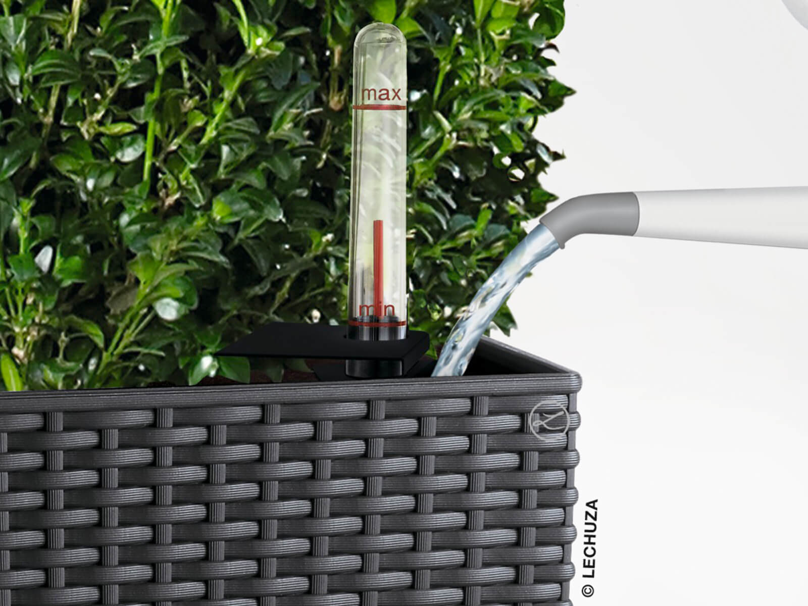 Bepflanzter Lechuza Pflanzeinsatz mit Einfüllschacht und Wasserstandanzeige